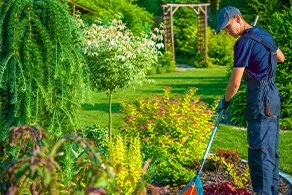 General Gardening cleaning service preview